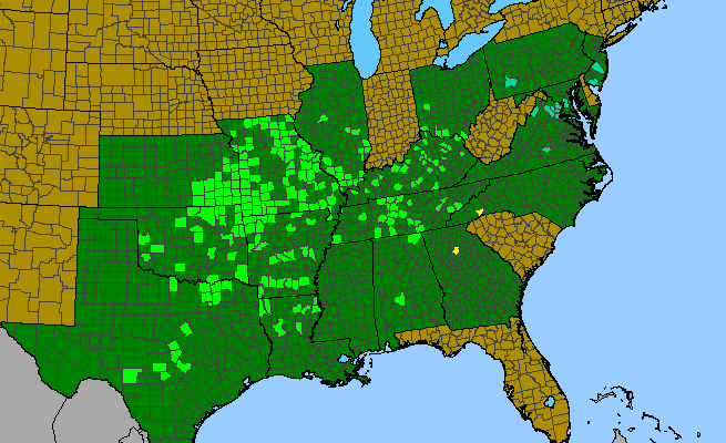 The range of Prunus munsoniana